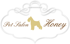 犬のトリミング専門店 ペットサロンハニー 川越本店